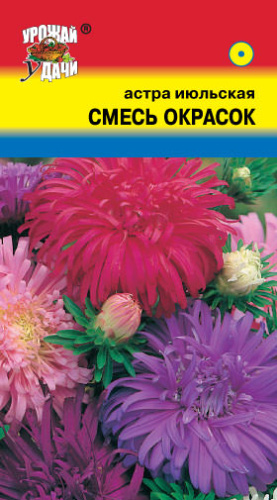 Астра Июльская, смесь