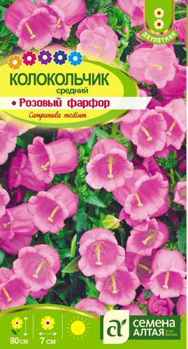 Колокольчик средний Розовый Фарфор