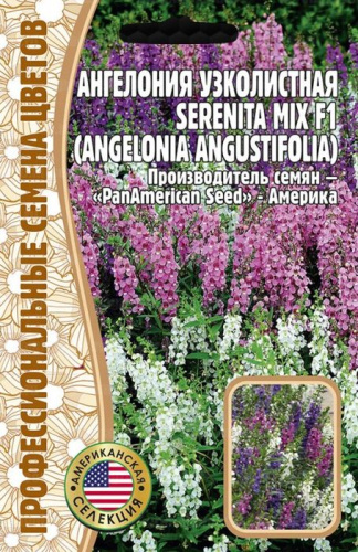 Ангелония Serenita Mix F1 узколистная