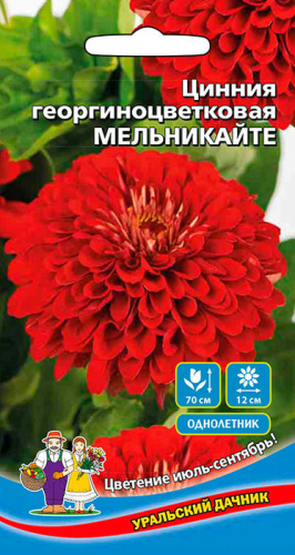 Цинния Мельникайте георгиноцветковая (УД) 