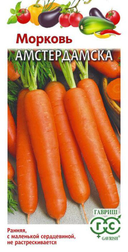 Морковь Амстердамска