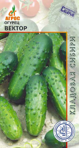 Огурец Вектор 10шт