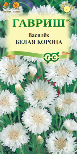 Василек Белая корона 