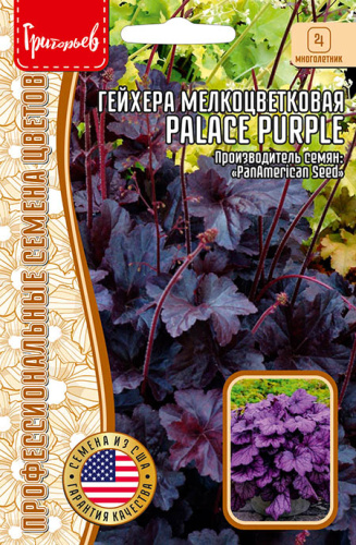 Гейхера Дворцовая фиолетовая (Palace Purple) мелкоцветковая