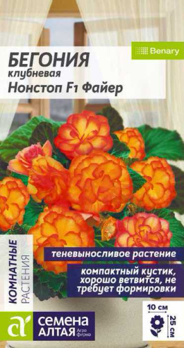 Бегония Нонстоп F1 Файер клубневая