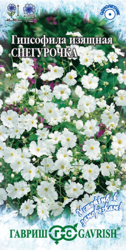 Гипсофила изящная Снегурочка 