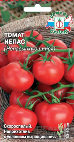 Томат Непас Непасынкующийся 
