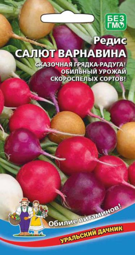 Редис Салют Варнавина 