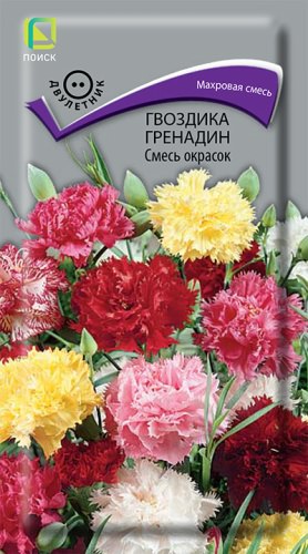 Гвоздика Гренадин Смесь окрасок