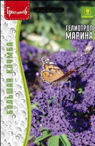 Гелиотроп Марина перуанский (Marine) 