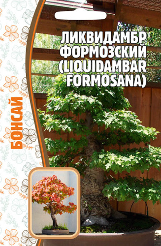 Ликвидамбр Формозский