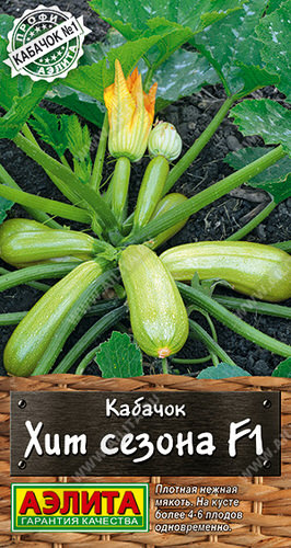 Кабачок Хит сезона F1
