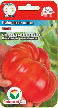 Томат Сибирские лапти 
