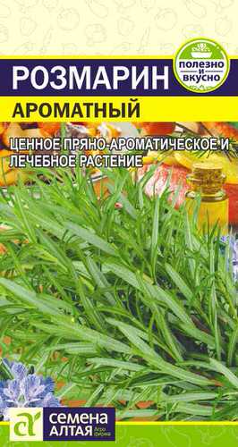 Розмарин Ароматный 