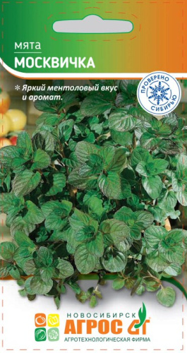 Мята Москвичка