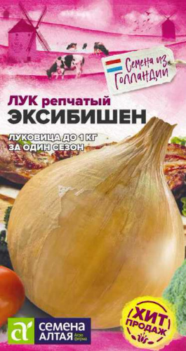 Лук (репчатый) Эксибишен Holland