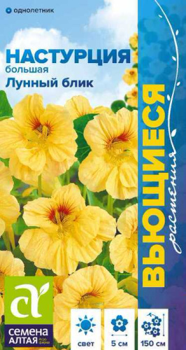 Настурция Лунный Блик большая 
