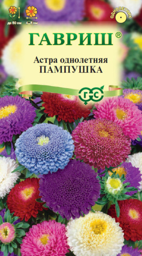 Астра Пампушка, смесь однолетняя (помпонная)