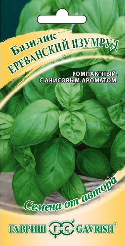 Базилик Ереванский изумруд 