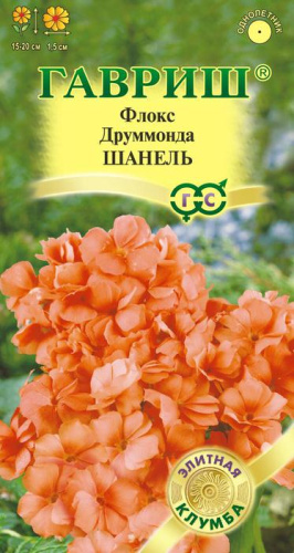 Флокс Шанель друммонда