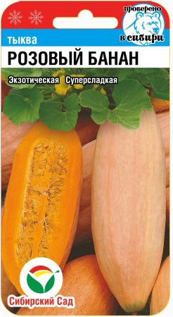 Тыква Розовый банан   