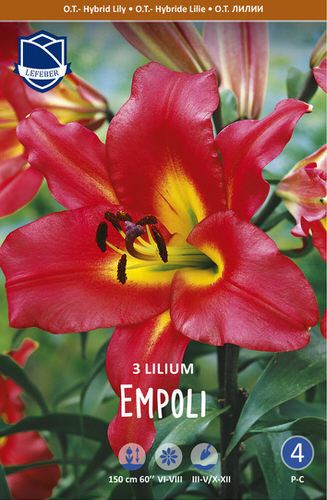 Лилия ОТ-гибрид Empoli /3шт
