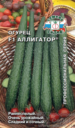 Огурец Аллигатор F1®