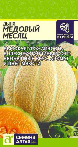 Дыня Медовый Месяц