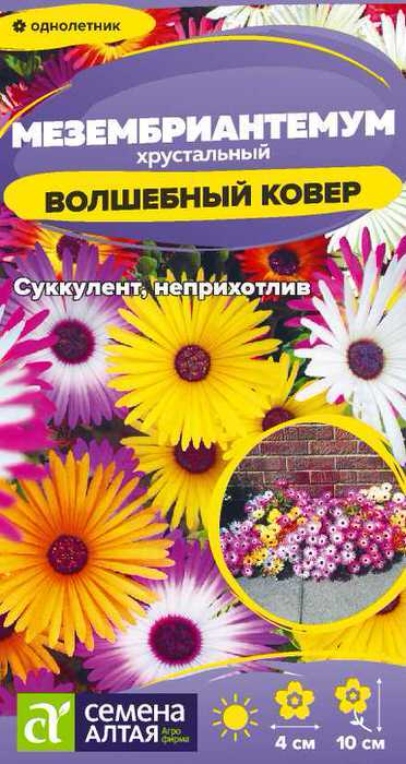 Мезембриантемум Волшебный ковёр 