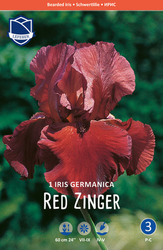 Ирис germanica Red ZInger /1шт