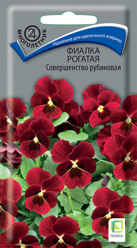 Фиалка Совершенство рубиновое рогатая 