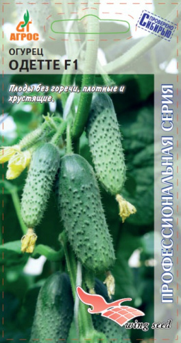 Огурец Одетте  F1