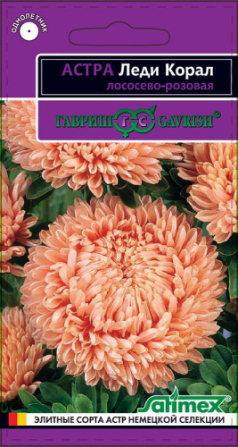 Астра Леди Коралл лососево-розовая, розовидная
