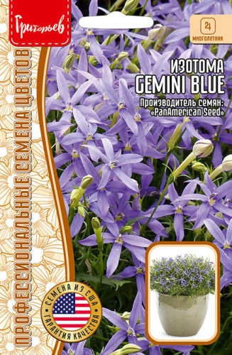 Изотома Gemini Blue (PanAmerican) 