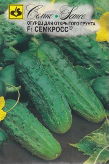 Огурец Семкросс F1