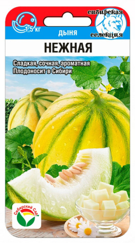 Дыня Нежная