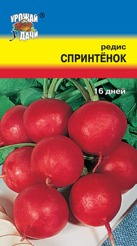 Редис Спринтенок 16 дней