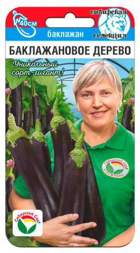 Баклажан Баклажановое дерево