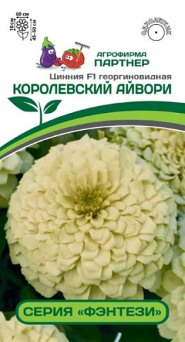 Цинния Фэнтези F1 Королевский Айвори