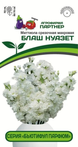 Маттиола Бьютифул Парфюм Блаш Нуазет срезочная махровая