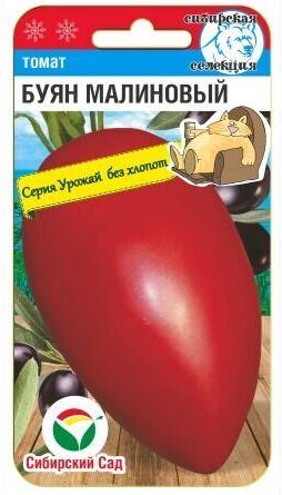 Томат Буян малиновый 