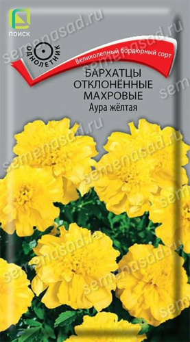 Бархатцы Аура желтая откл. махр.