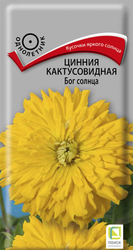 Цинния Бог солнца кактусовидная