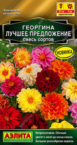 Георгина Лучшее предложение, смесь 