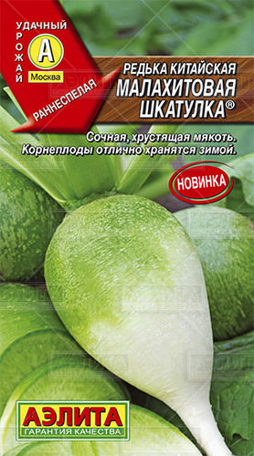 Редька Малахитовая шкатулка китайская