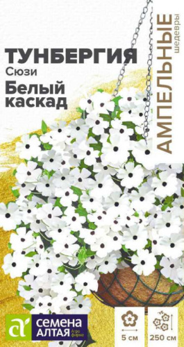 Тунбергия Сюзи Белый каскад крылатая  Ампельные Шедевры