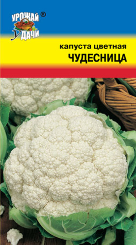 Капуста (цветная) Чудесница 