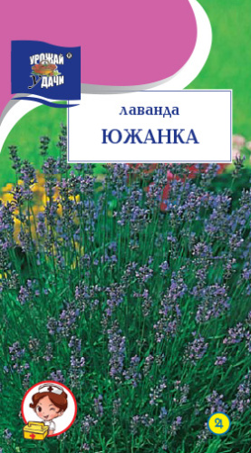 Лаванда Южанка