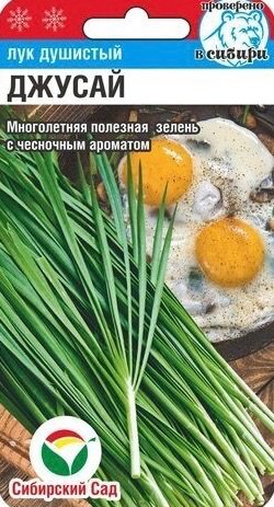 Лук (душистый) Джусай