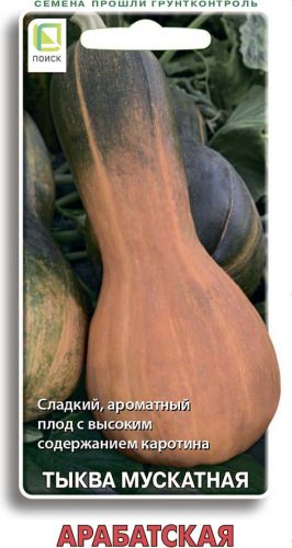 Тыква мускатная Арбатская